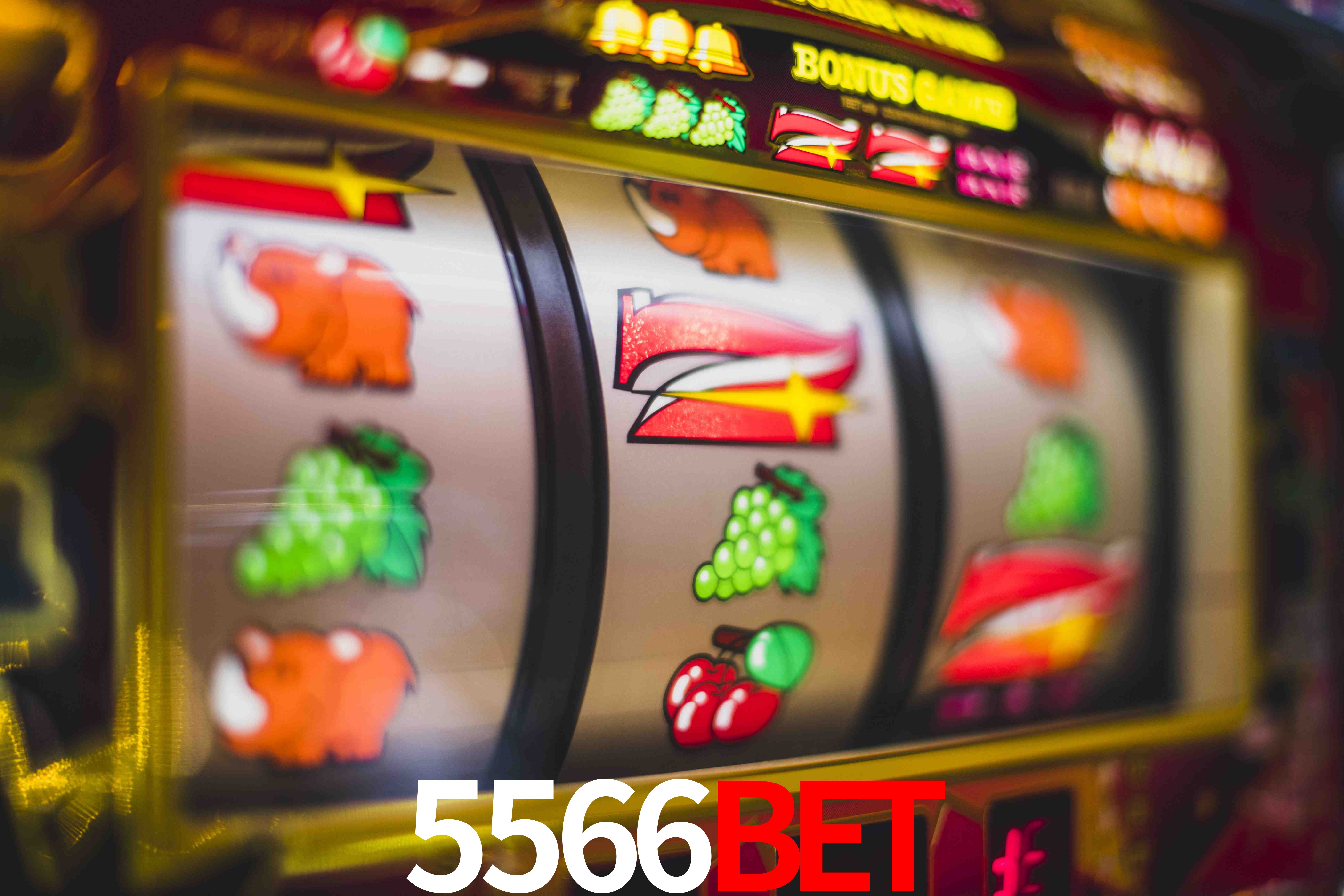 Football Betting 5566bet